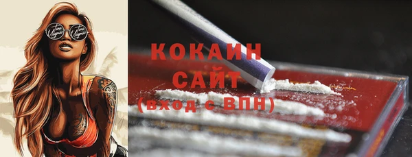 прущие грибы Козельск