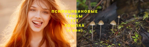 МДМА Нягань