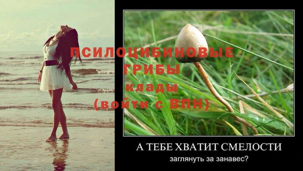 гидра Нязепетровск