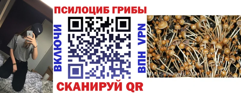 наркотики  Белоусово  Галлюциногенные грибы MAGIC MUSHROOMS 